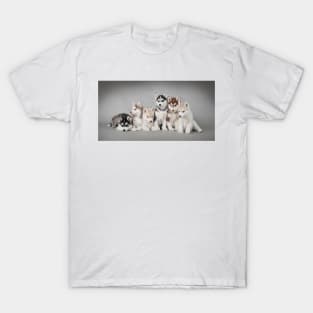 Six Huskies T-Shirt